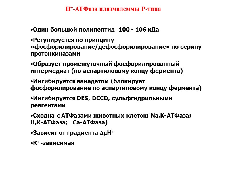 Н+-АТФаза плазмалеммы Р-типа Один большой полипептид  100 - 106 кДа Регулируется по принципу